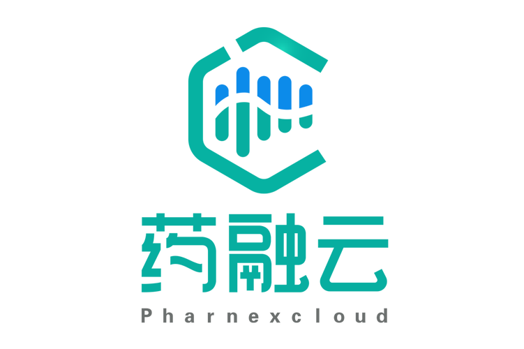 技术服务与网络技术发展 从开发到推广的全链条解析